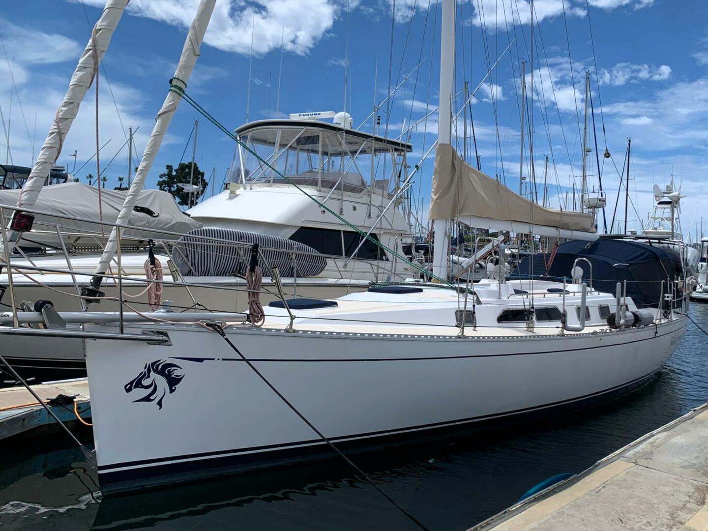 Slide: The Image of Saga 43 2002 - 5354675