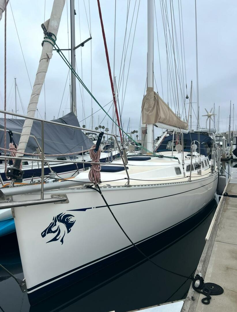 Slide: The Image of Saga 43 2002 - 5354866