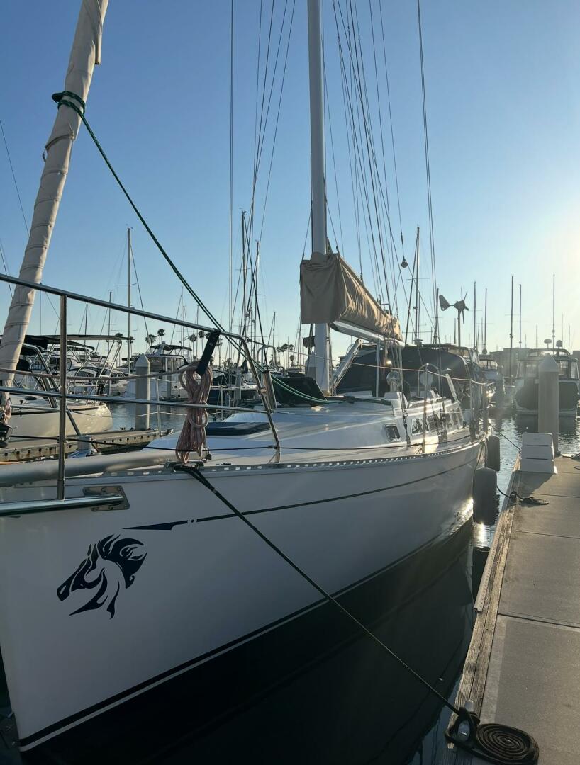 Slide: The Image of Saga 43 2002 - 5354870