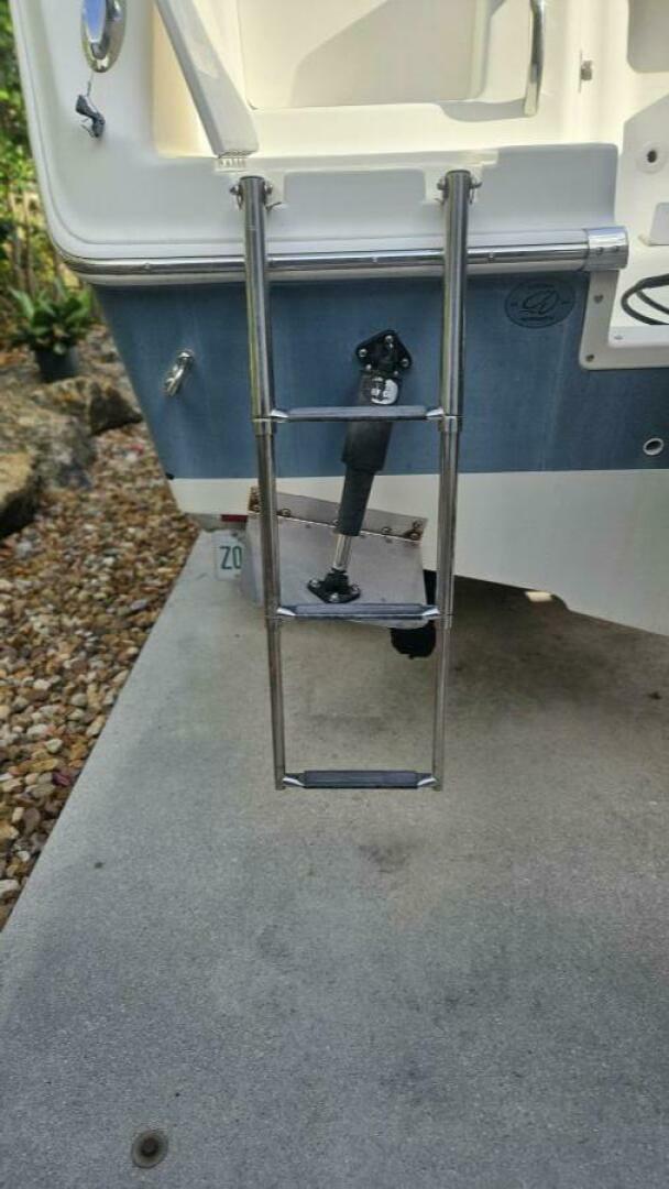 Slide: The Image of Sailfish 21 2007 - 5276558