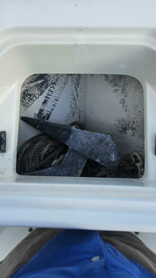 Slide: The Image of Sailfish 21 2007 - 5276567