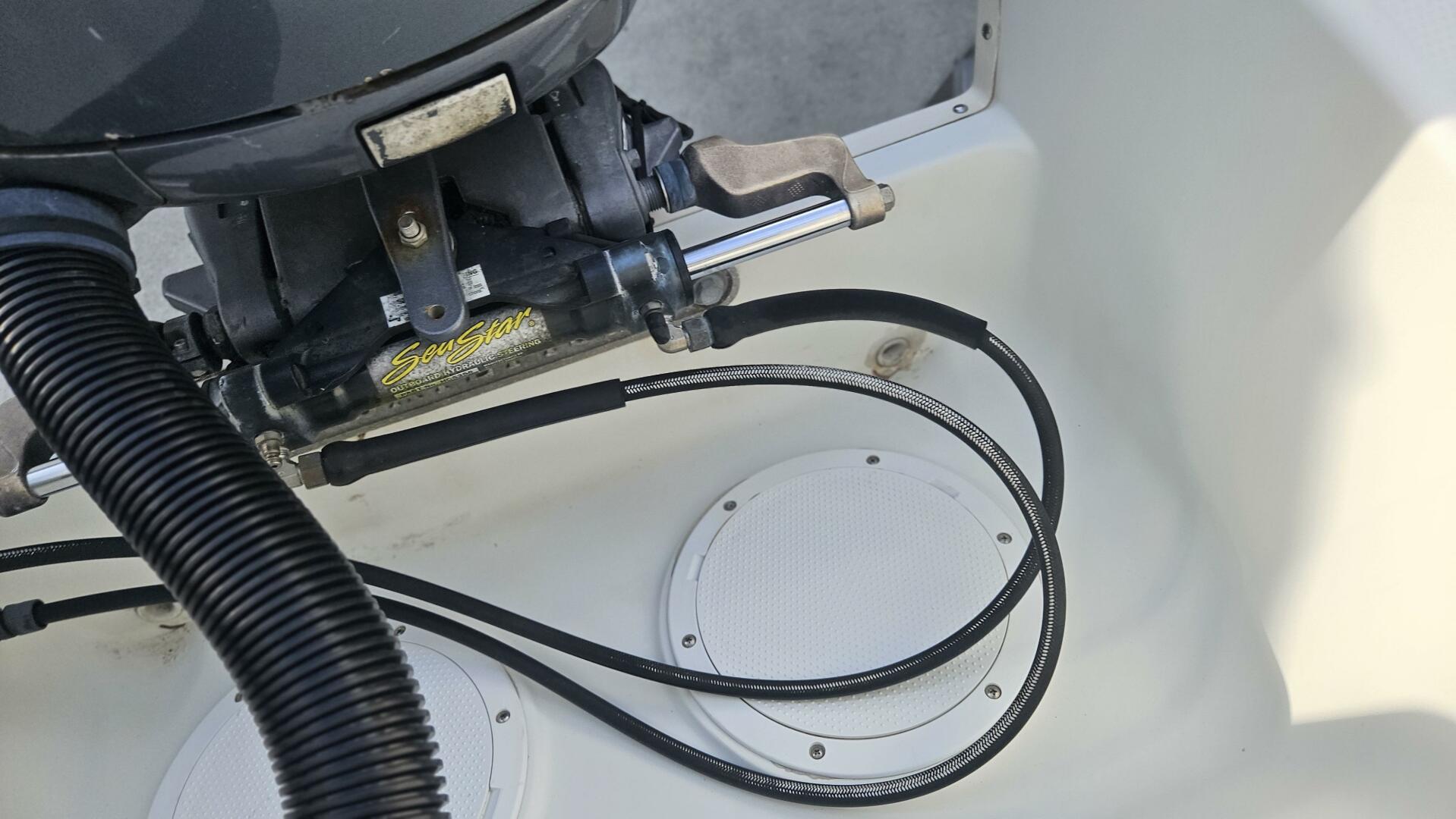 Slide: The Image of Sailfish 21 2007 - 5276574