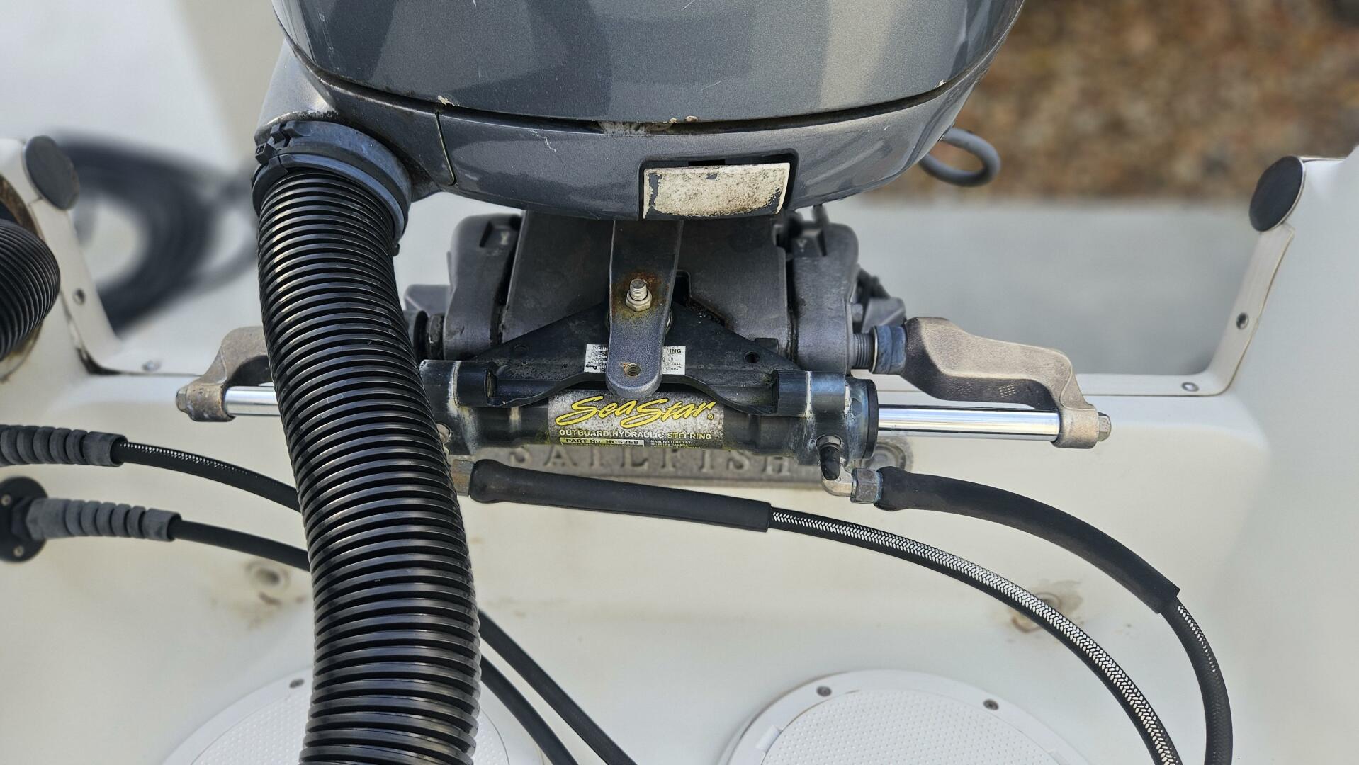 Slide: The Image of Sailfish 21 2007 - 5276575