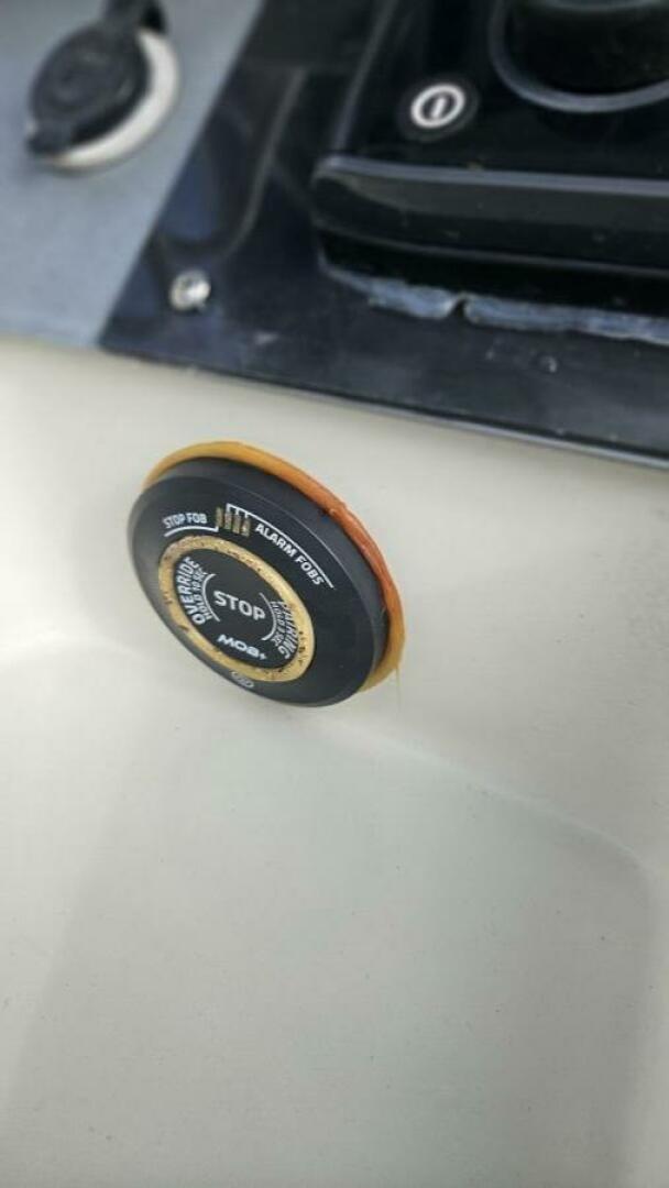 Slide: The Image of Sailfish 21 2007 - 5276577