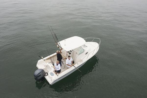 Slide: The Image of Sailfish 220 WAC 2024 - 1