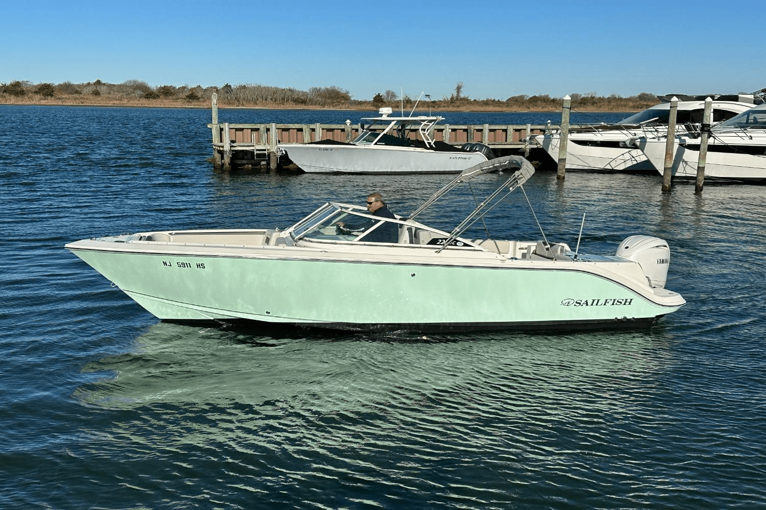 Slide: The Image of Sailfish 226 DC 2024 - 17
