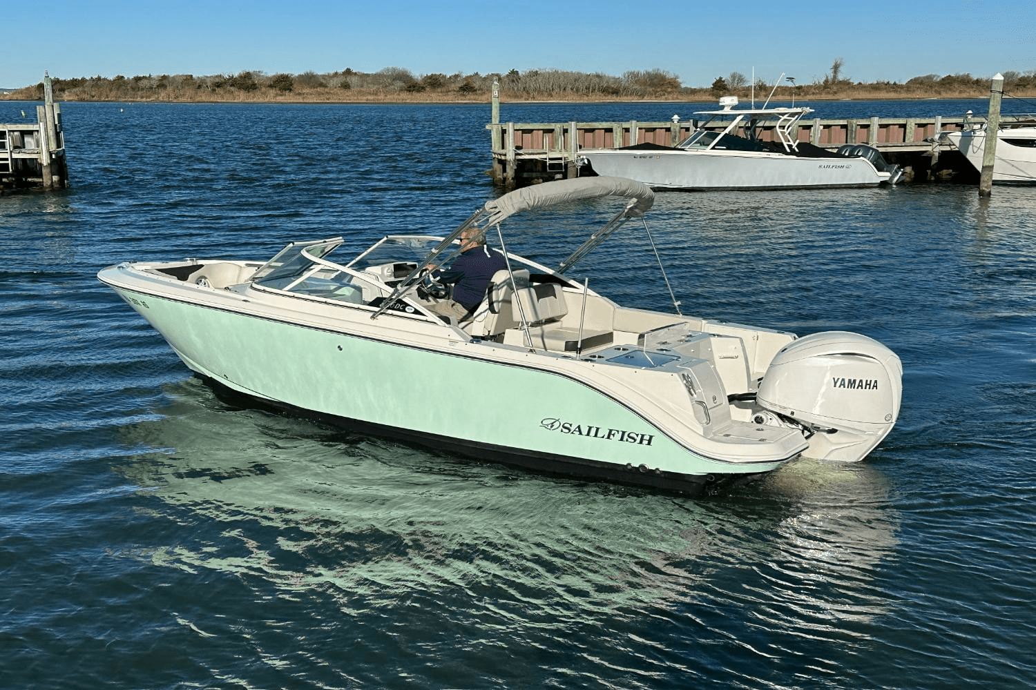 Slide: The Image of Sailfish 226 DC 2024 - 20