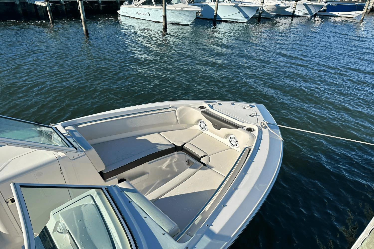 Slide: The Image of Sailfish 226 DC 2024 - 25