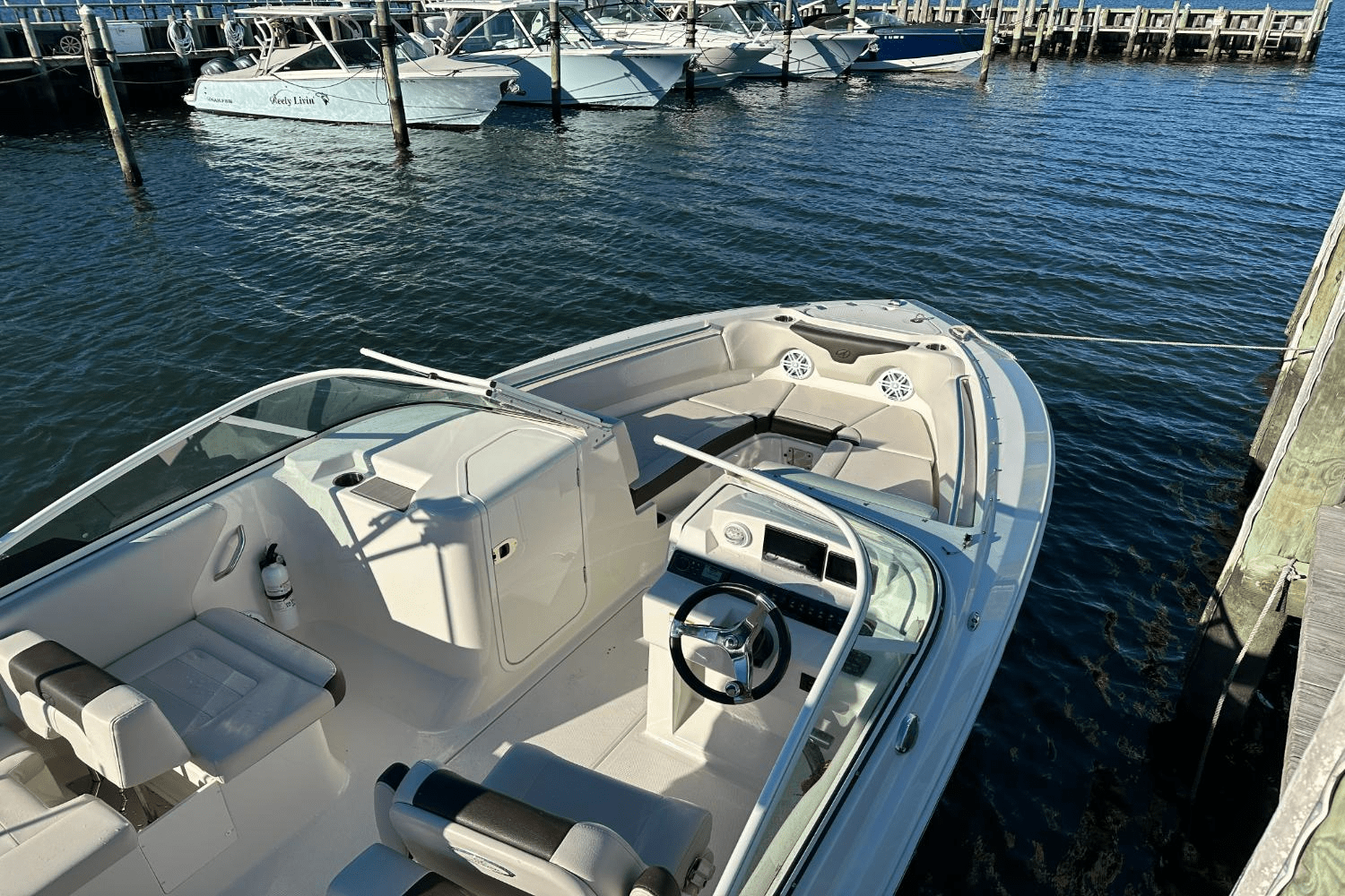Slide: The Image of Sailfish 226 DC 2024 - 26