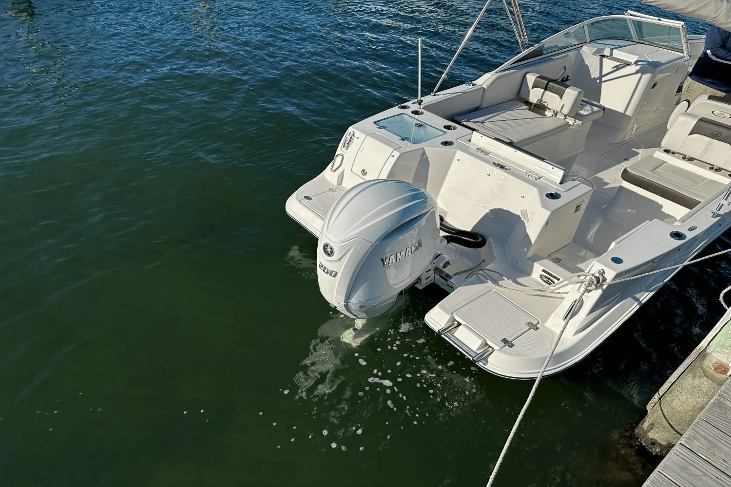 Slide: The Image of Sailfish 226 DC 2024 - 28