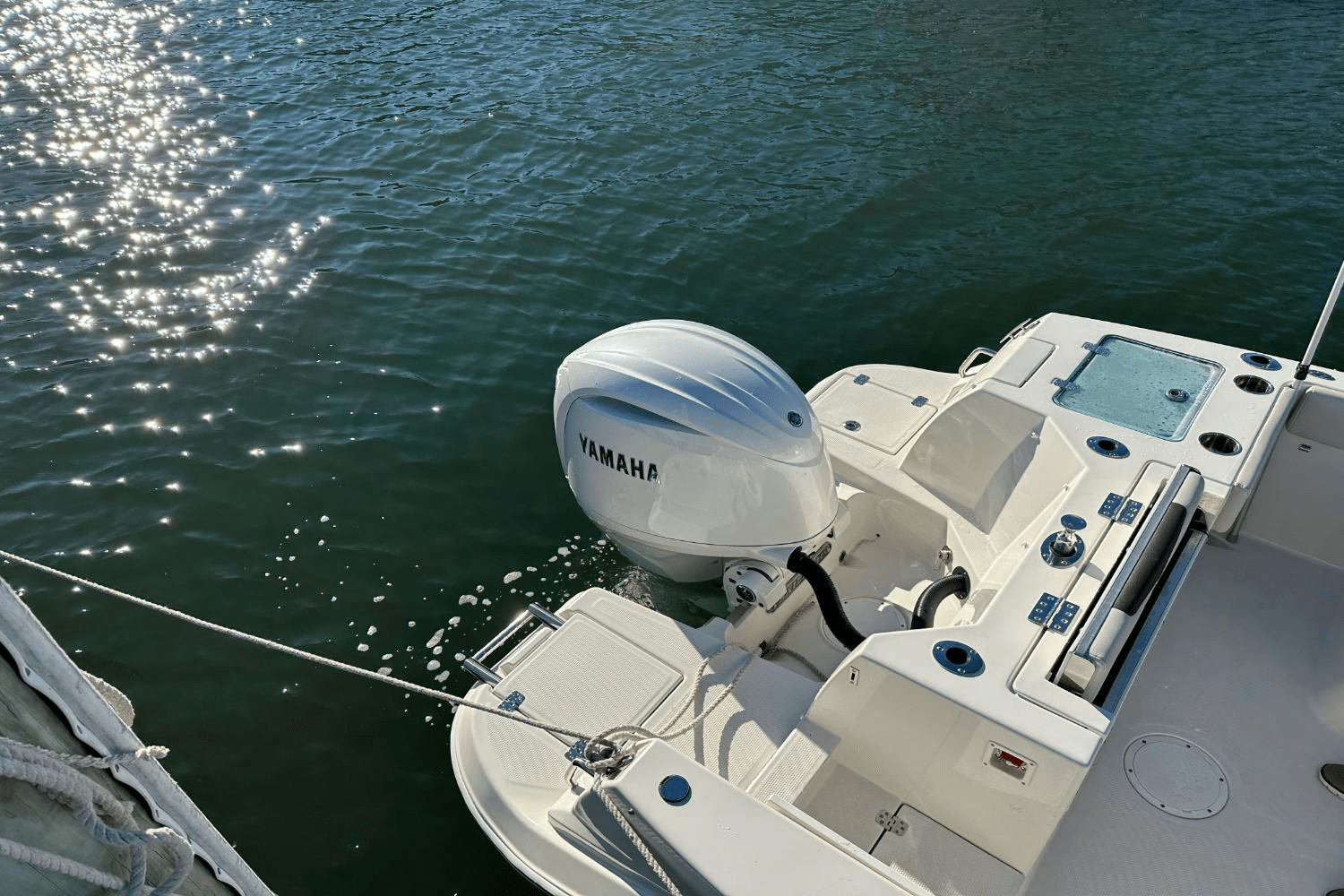 Slide: The Image of Sailfish 226 DC 2024 - 29