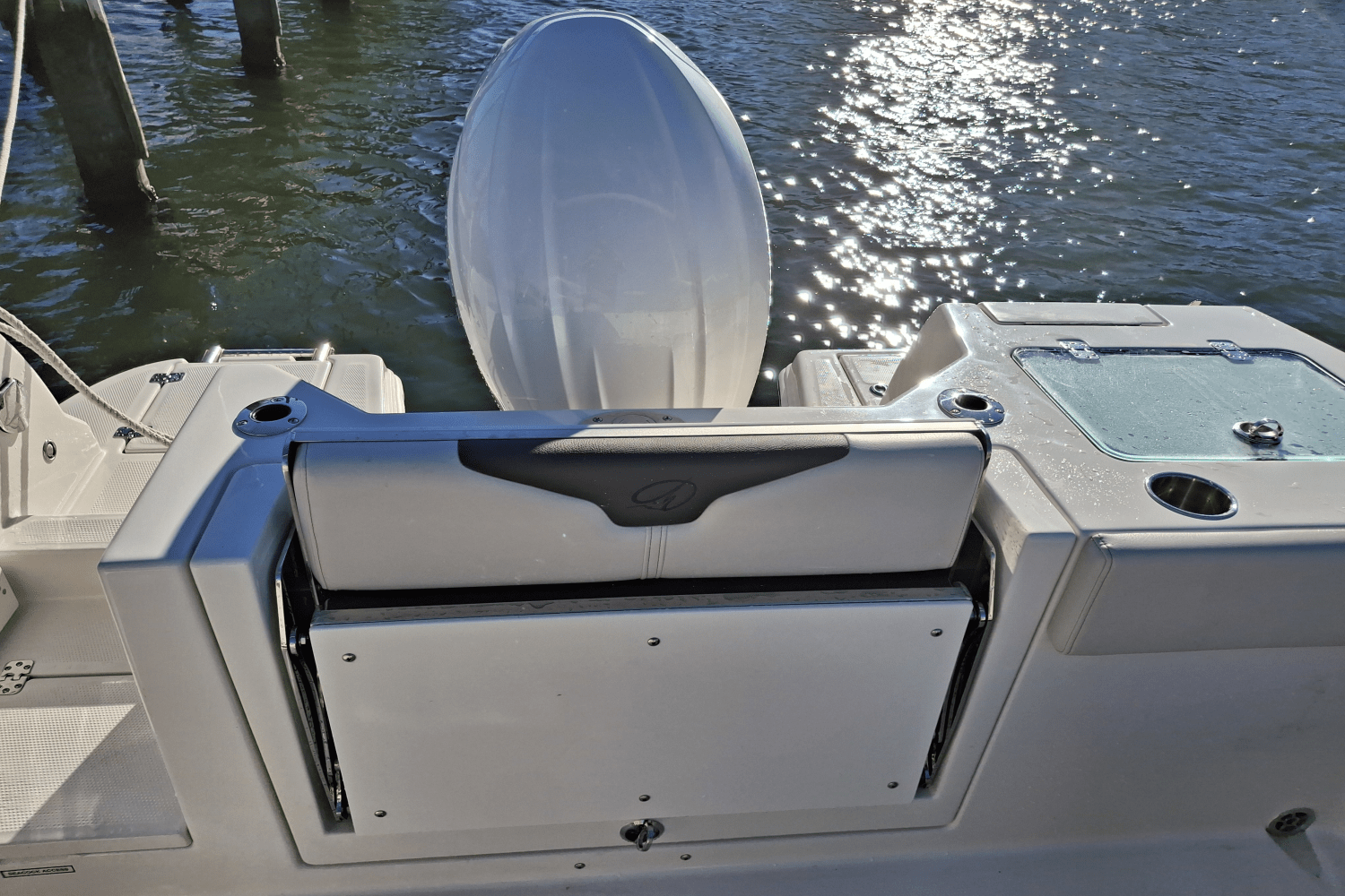 Slide: The Image of Sailfish 226 DC 2024 - 39