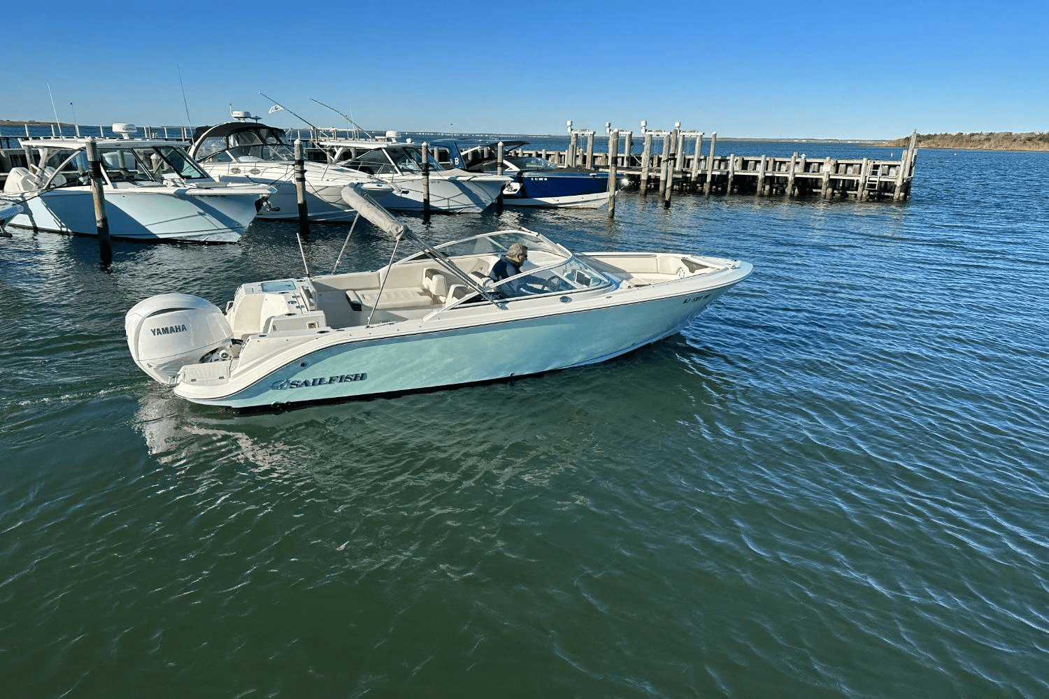 Slide: The Image of Sailfish 226 DC 2024 - 4