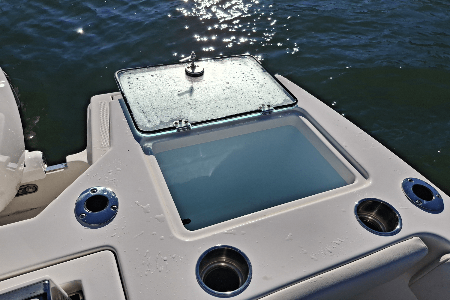 Slide: The Image of Sailfish 226 DC 2024 - 42