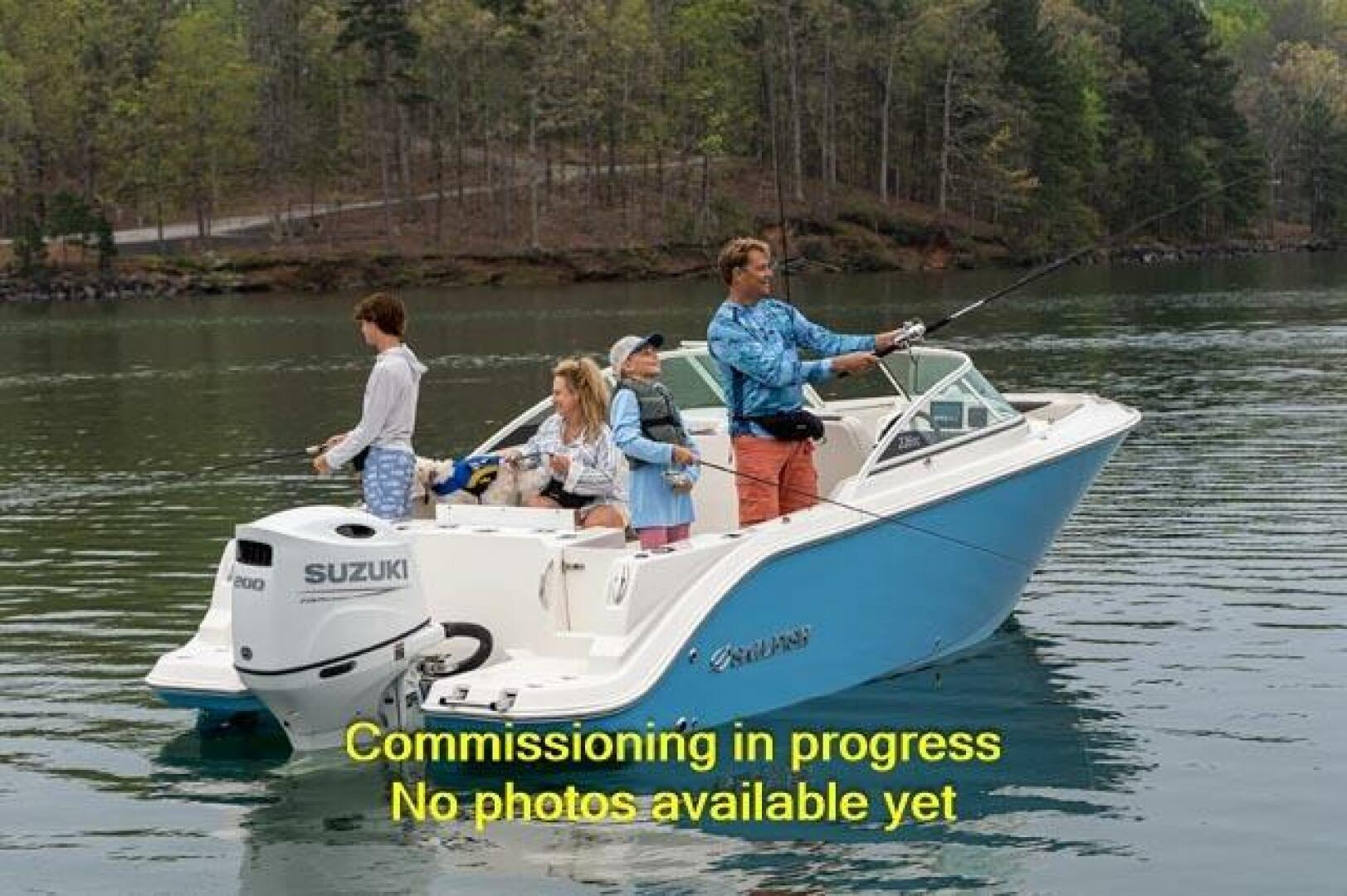 Slide: The Image of Sailfish 226 DC 2024 - 4275962