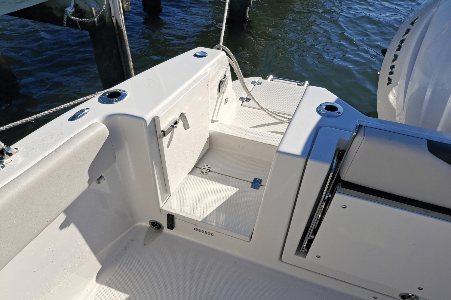 Slide: The Image of Sailfish 226 DC 2024 - 43