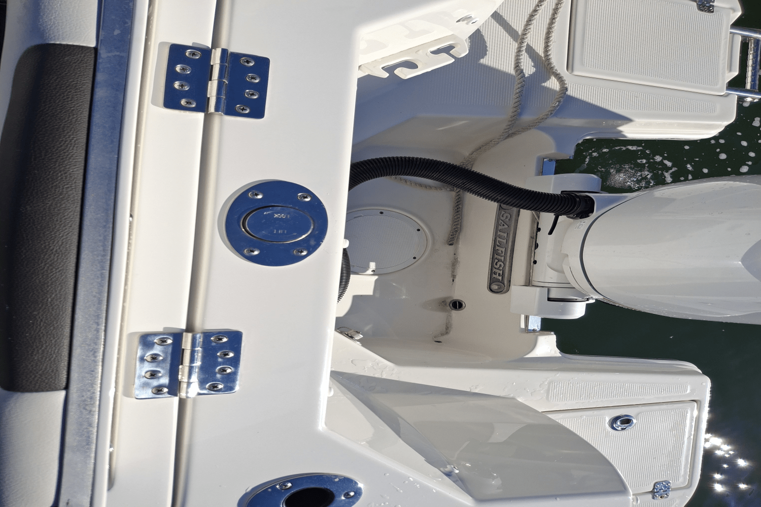 Slide: The Image of Sailfish 226 DC 2024 - 45