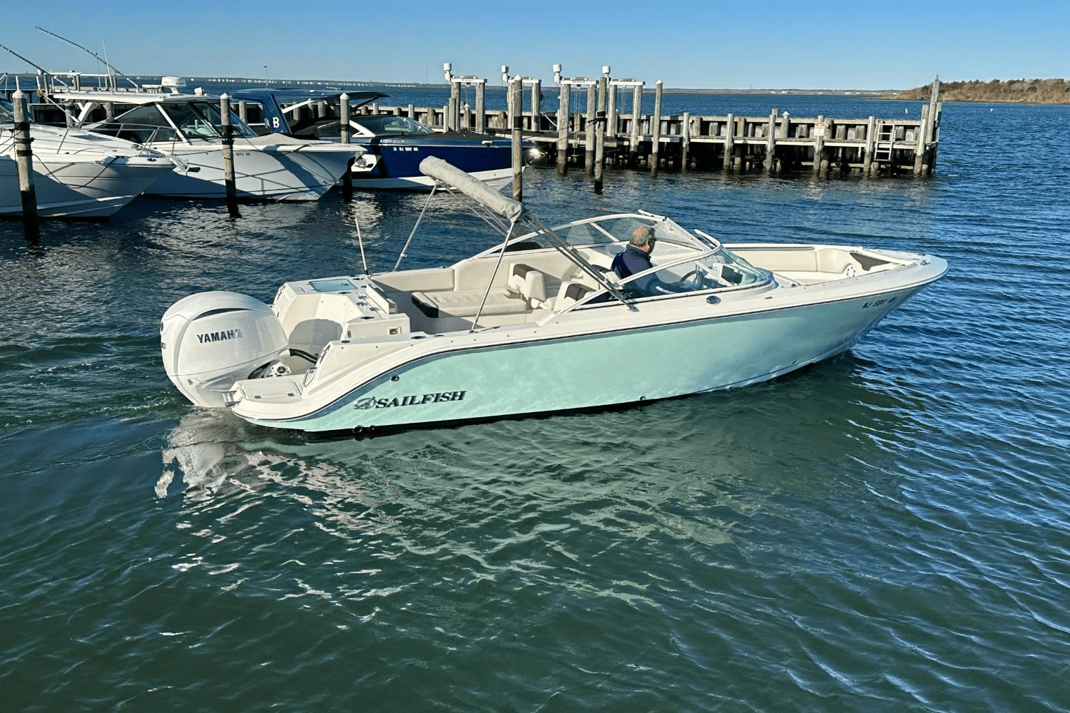 Slide: The Image of Sailfish 226 DC 2024 - 8