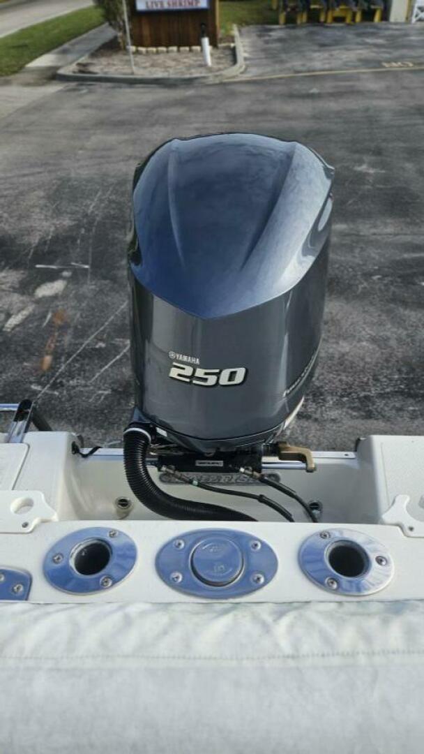 Slide: The Image of Sailfish 24 2018 - 4902853