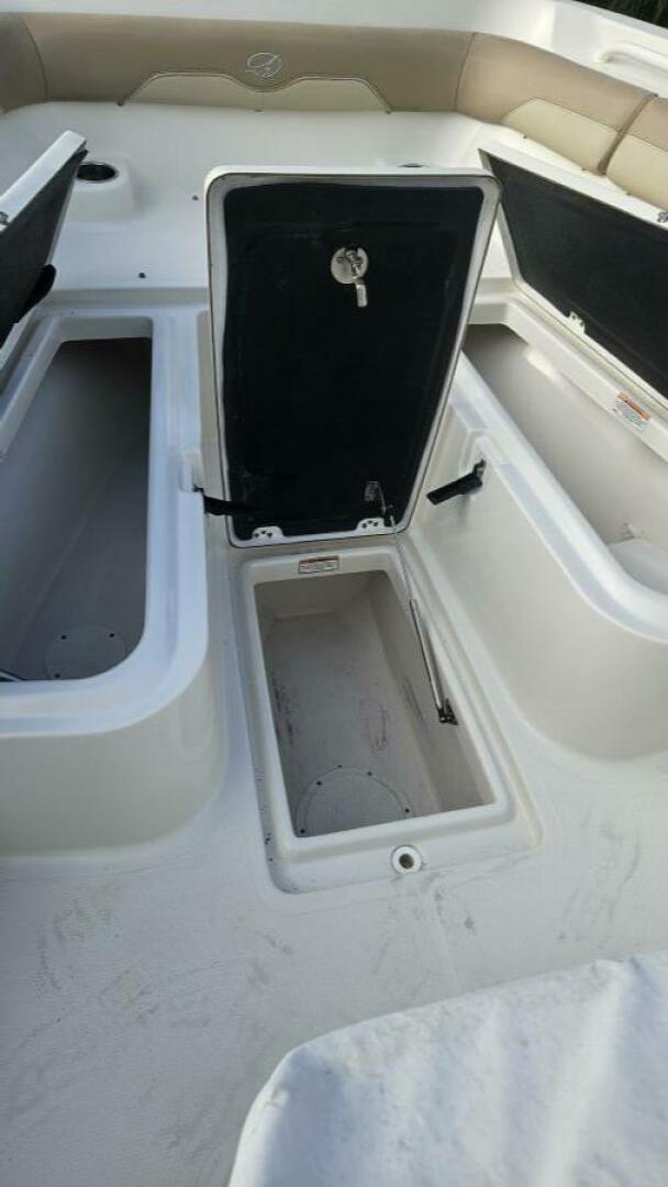 Slide: The Image of Sailfish 24 2018 - 4902864