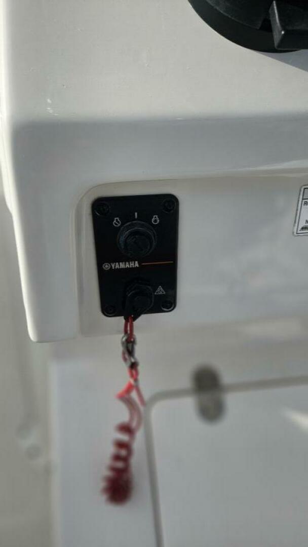 Slide: The Image of Sailfish 24 2018 - 4902893