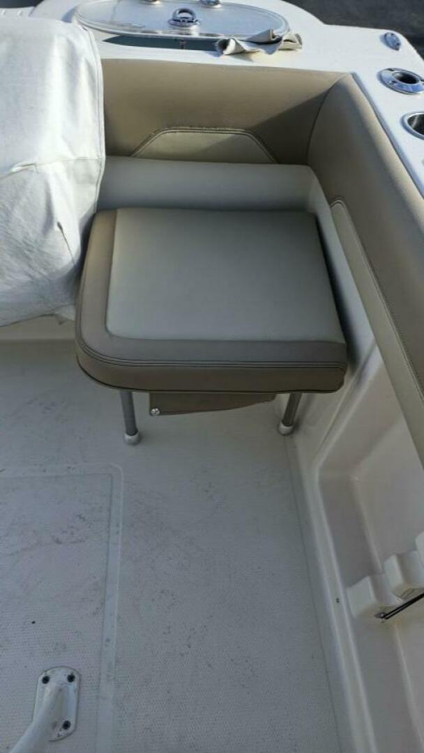 Slide: The Image of Sailfish 24 2018 - 4902912