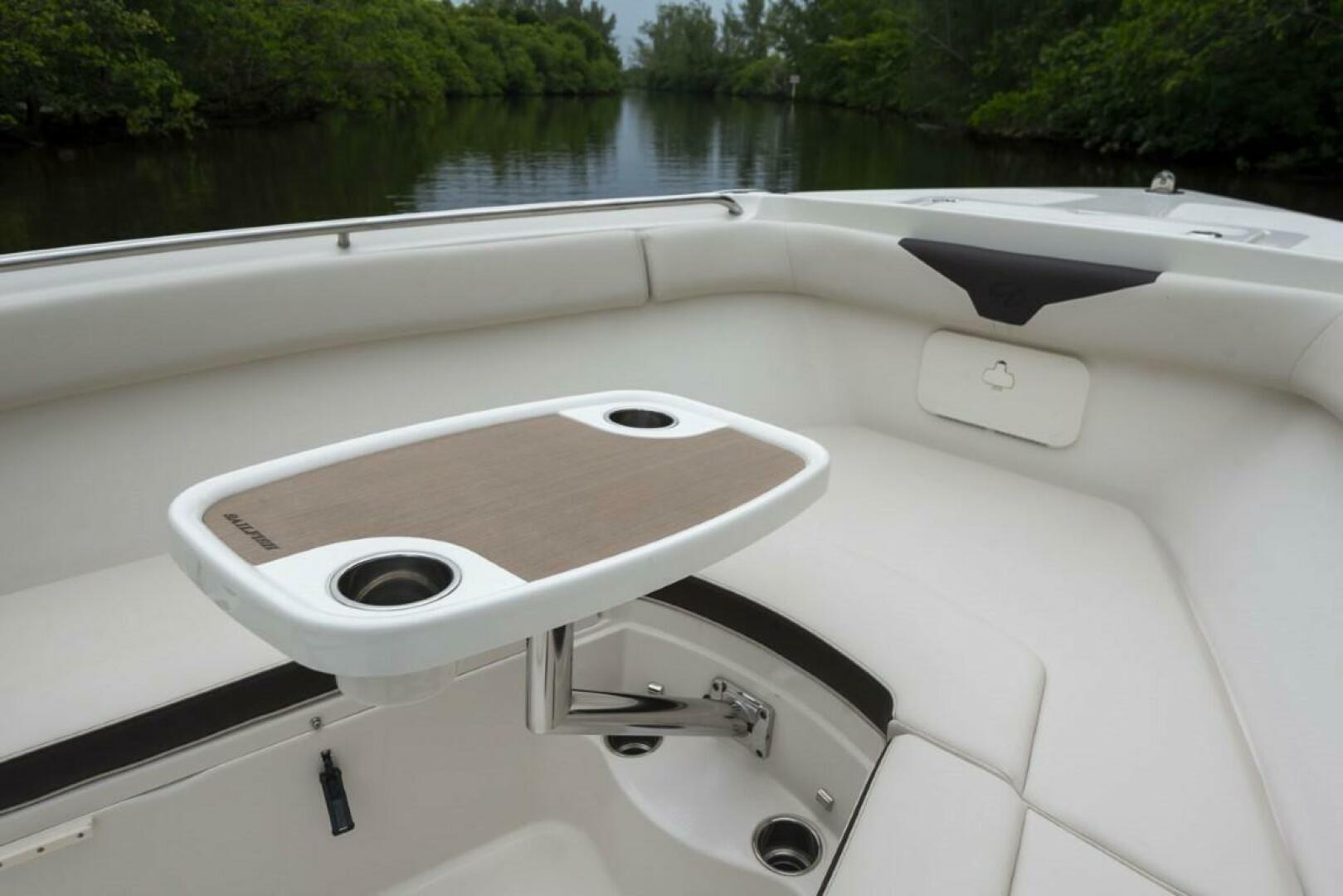 Slide: The Image of Sailfish 241 CC 2023 - 3750267