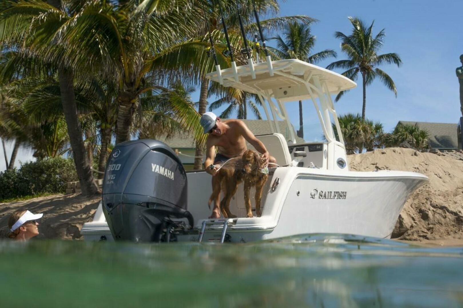 Slide: The Image of Sailfish 241 CC 2023 - 3750270