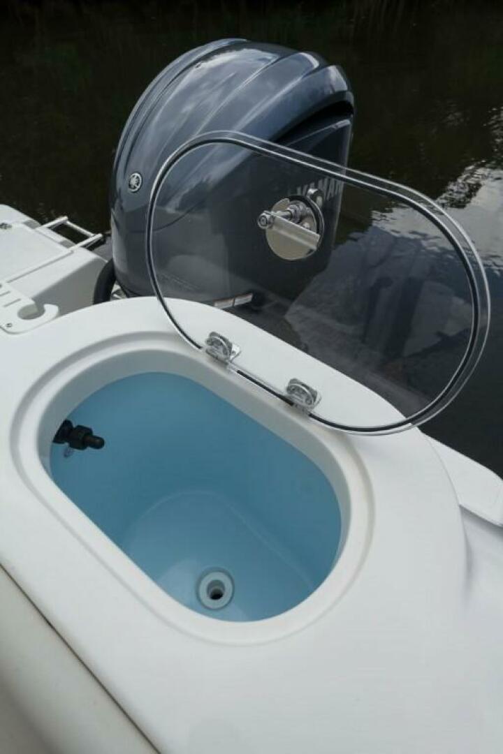 Slide: The Image of Sailfish 241 CC 2023 - 3750273