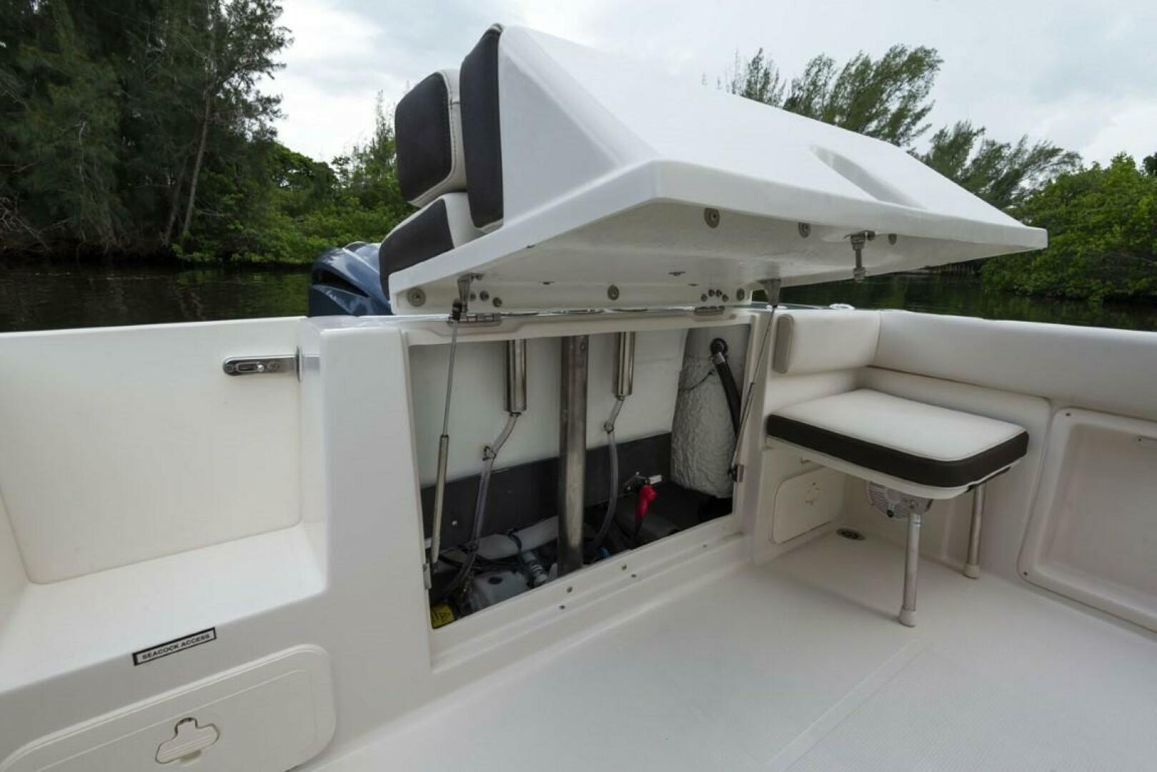 Slide: The Image of Sailfish 241 CC 2023 - 3750274