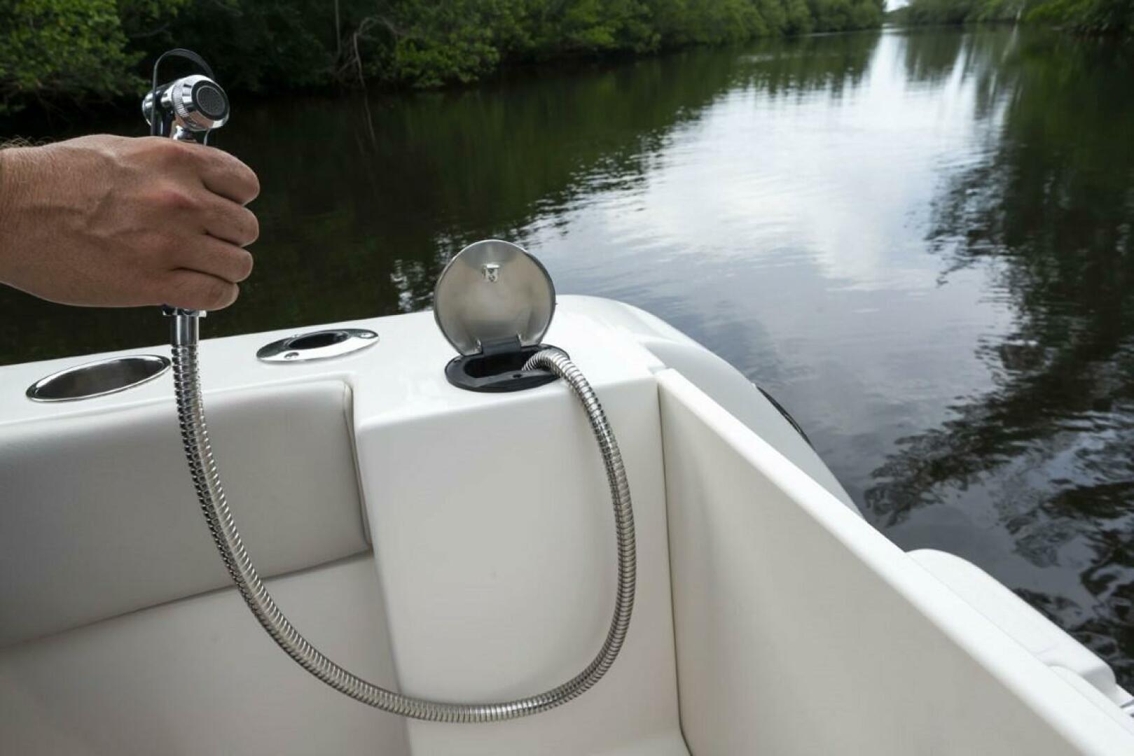 Slide: The Image of Sailfish 241 CC 2023 - 3750280