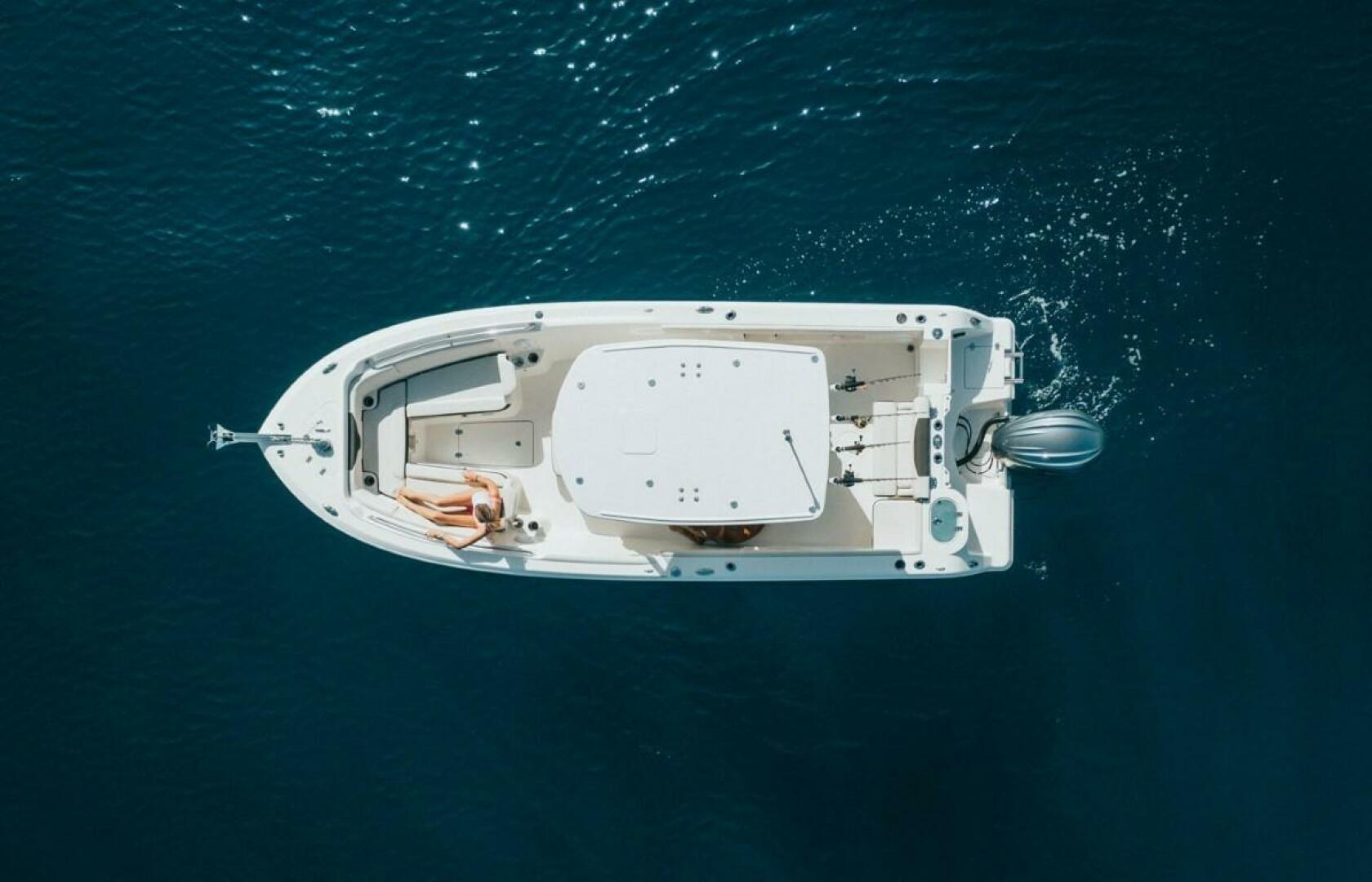 Slide: The Image of Sailfish 241 CC 2023 - 3750282