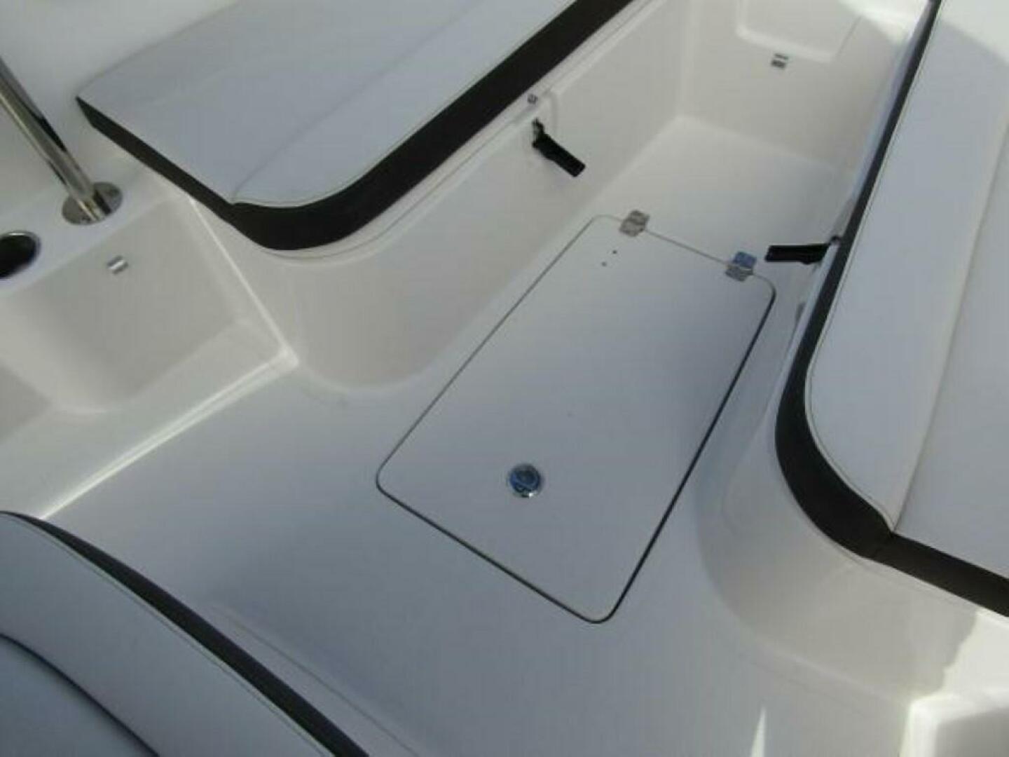 Slide: The Image of Sailfish 241 CC 2024 - 4621587