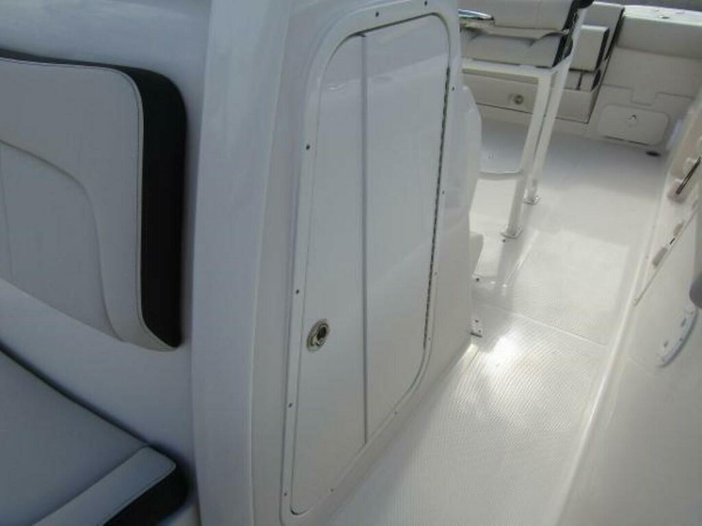 Slide: The Image of Sailfish 241 CC 2024 - 4621590