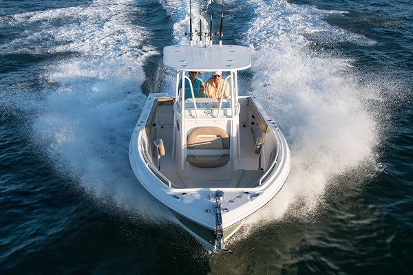 Slide: The Image of Sailfish 242 CC 2021 - 1