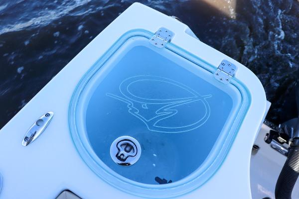 Slide: The Image of Sailfish 242 CC 2021 - 11