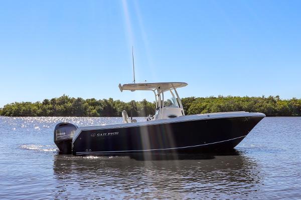 Slide: The Image of Sailfish 242 CC 2021 - 3