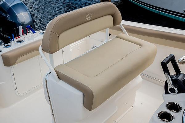 Slide: The Image of Sailfish 242 CC 2021 - 8