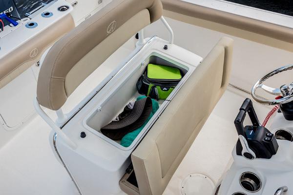 Slide: The Image of Sailfish 242 CC 2021 - 9