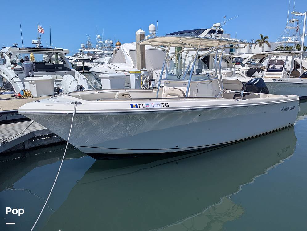 Slide: The Image of Sailfish 242 CC 2022 - 15344310