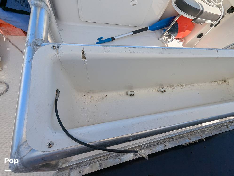 Slide: The Image of Sailfish 242 CC 2022 - 15344334