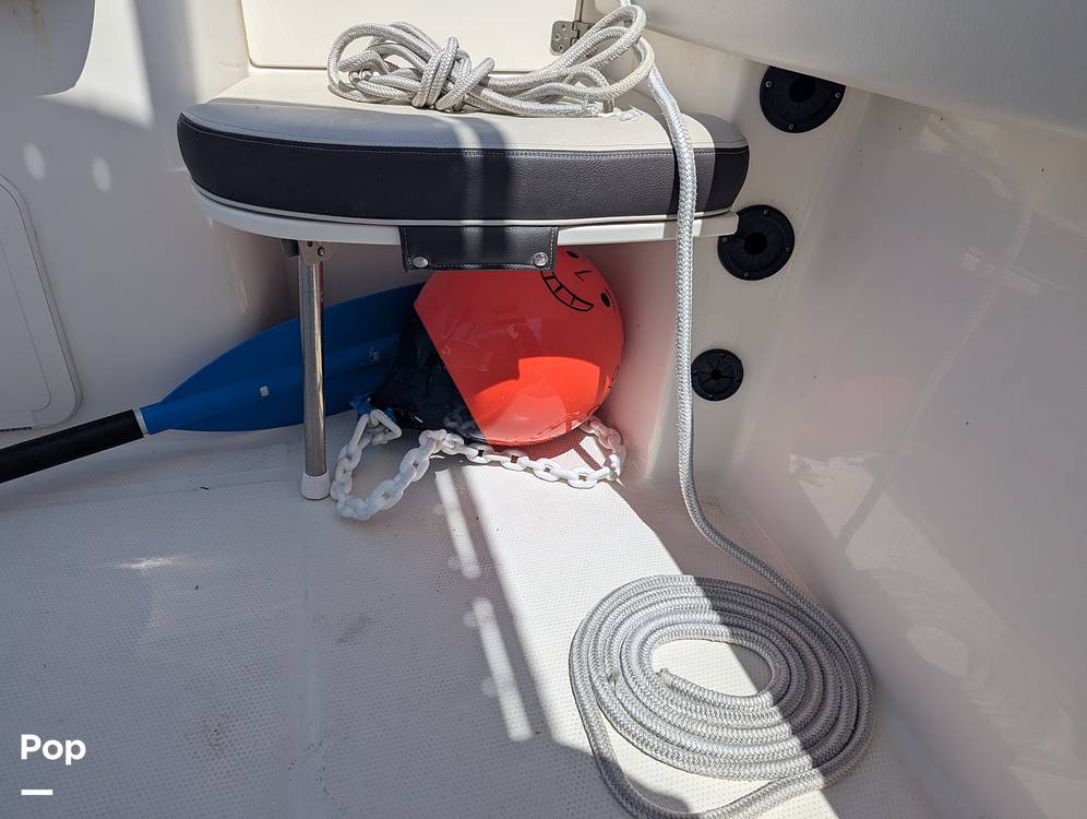 Slide: The Image of Sailfish 242 CC 2022 - 15344467
