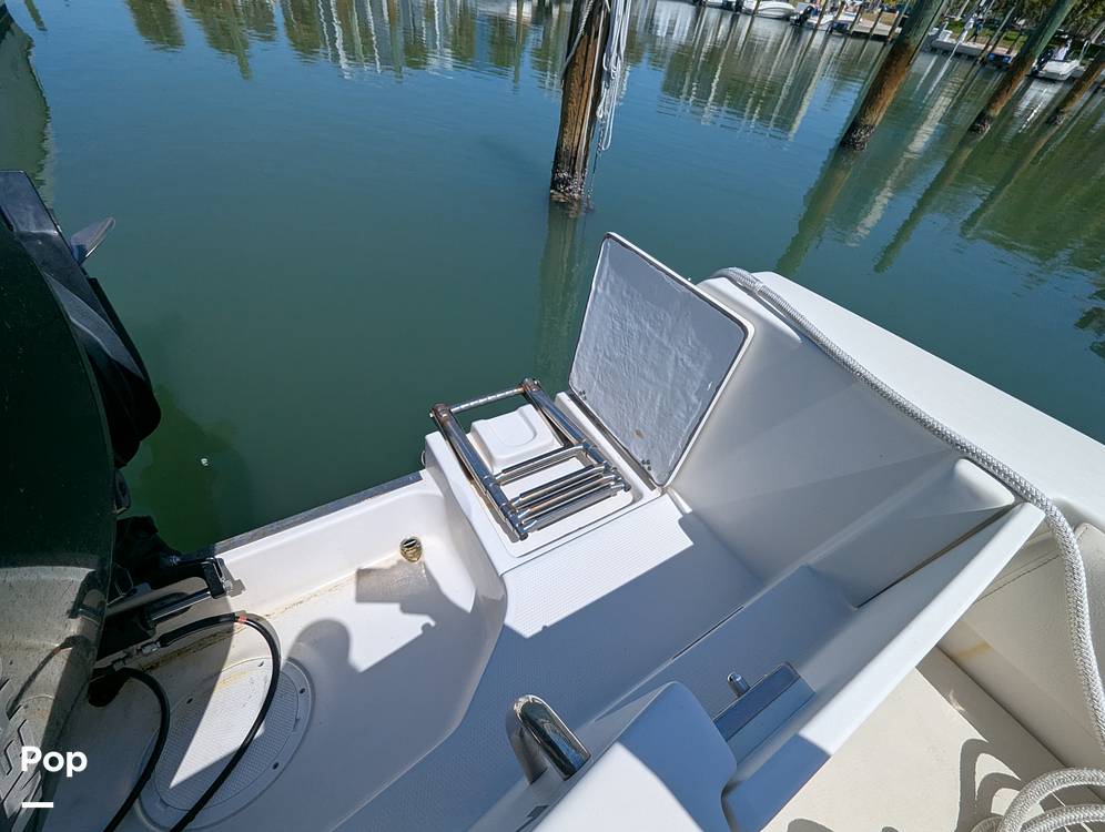 Slide: The Image of Sailfish 242 CC 2022 - 15344473