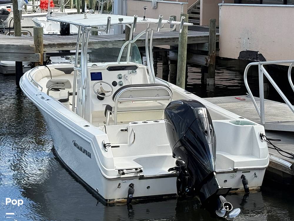 Slide: The Image of Sailfish 242 CC 2023 - 15319897