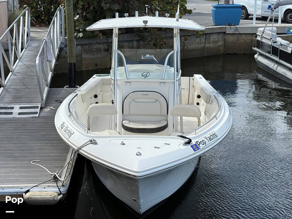 Slide: The Image of Sailfish 242 CC 2023 - 15319901