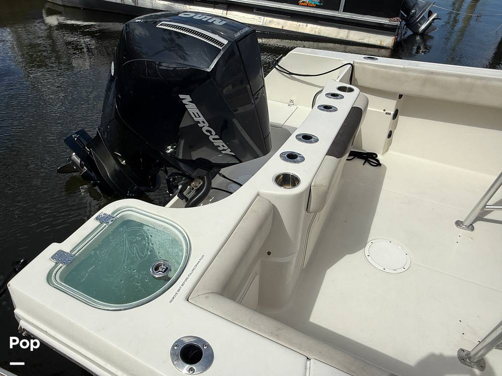 Slide: The Image of Sailfish 242 CC 2023 - 15319909