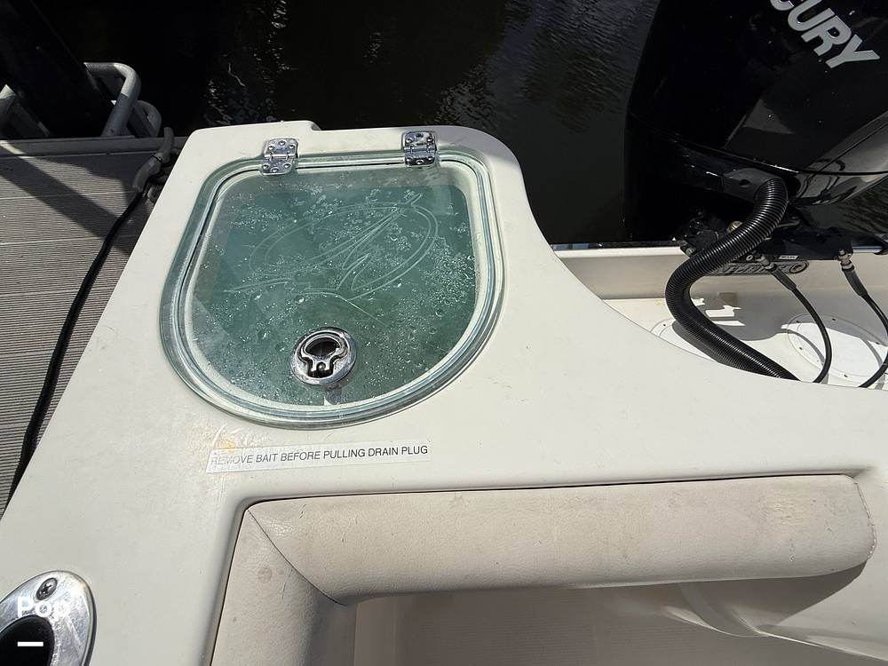 Slide: The Image of Sailfish 242 CC 2023 - 15319920