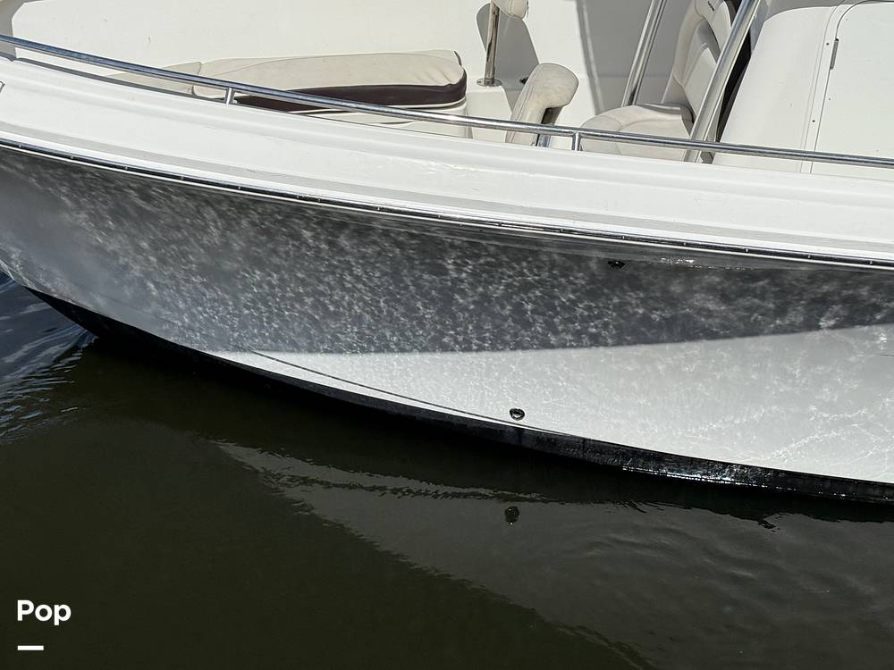 Slide: The Image of Sailfish 242 CC 2023 - 15319973