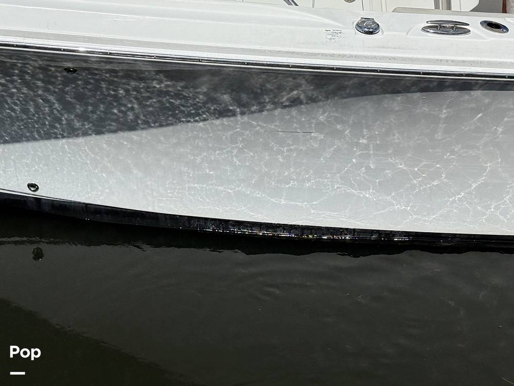 Slide: The Image of Sailfish 242 CC 2023 - 15319974