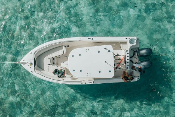 Slide: The Image of Sailfish 242 CC 2023 - 2